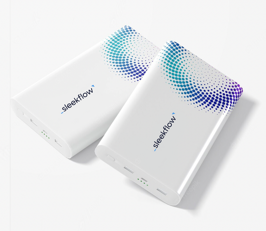 Power Bank (10000mah)